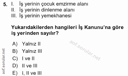 5. soru: 1. iş yerinin çocuk emzirme alanı Il. İş yerinin dinlenme alanı III. Iş yerinin yemekhanesi Yukarıdakilerden hangiler…