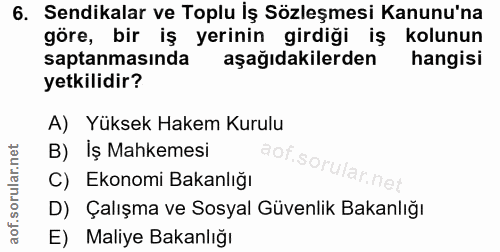 6. soru: Sendikalar ve Toplu İş Sözleşmesi Kanunu'na göre, bir iş yerinin girdiği iş kolunun saptanmasında aşağıdakilerden han…