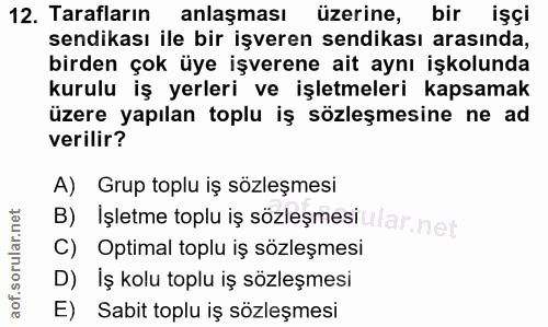 12. soru: Tarafların anlaşması üzerine, bir işçi sendikası ile bir işveren sendikası arasında, birden çok üye işverene ait aynı…