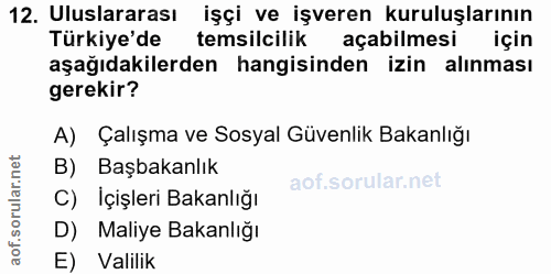 12. soru: Uluslararası işçi ve işveren kuruluşlarının Türkiye'de temsilcilik açabilmesi için aşağıdakilerden hangisinden izin a…