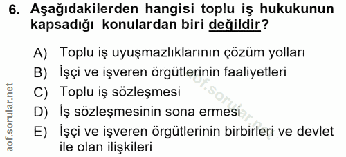6. soru: Aşağıdakilerden hangisi toplu iş hukukunun kapsadığı konulardan biri değildir? A) Toplu iş uyuşmazlıklarının çözüm yo…