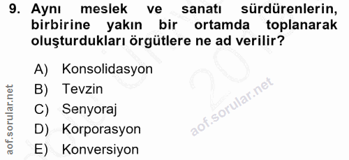 9. soru: Aynı meslek ve sanatı sürdürenlerin, birbirine yakın bir ortamda toplanarak oluşturdukları örgütlere ne ad verilir? A…