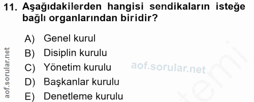 11. soru: Aşağıdakilerden hangisi sendikaların isteğe bağlı organlarından biridir? A) Genel kurul B) Disiplin kurulu C) Yönetim…