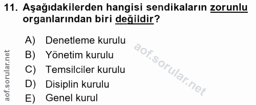 11. soru: Aşağıdakilerden hangisi sendikaların zorunlu organlarından biri değildir? A) Denetleme kurulu B) Yönetim kurulu C) Te…
