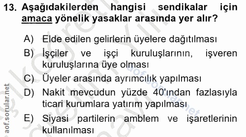 13. soru: Aşağıdakilerden hangisi sendikalar için amaca yönelik yasaklar arasında yer alır? A) Elde edilen gelirlerin üyelere d…