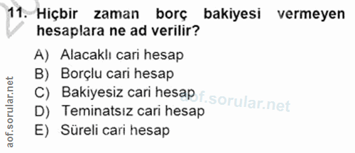 11. soru: Hiçbir zaman borç bakiyesi vermeyen hesaplara ne ad verilir? A) Alacaklı cari hesap B) Borçlu cari hesap C) Bakiyesiz…