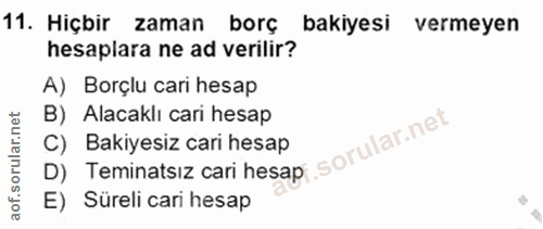 11. soru: Hiçbir zaman borç bakiyesi vermeyen hesaplara ne ad verilir? A) Borçlu cari hesap B) Alacaklı cari hesap D) Teminatsı…
