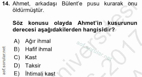 14. soru: Ahmet, arkadaşı Bülent'e pusu kurarak onu öldürmüştür. Söz konusu olayda Ahmet'in kusurunun derecesi aşağıdakilerden…