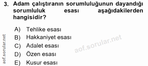 3. soru: Adam çalıştıranın sorumluluğunun dayandığı sorumluluk esası aşağıdakilerden hangisidir? A) Tehlike esası B) Hakkaniye…
