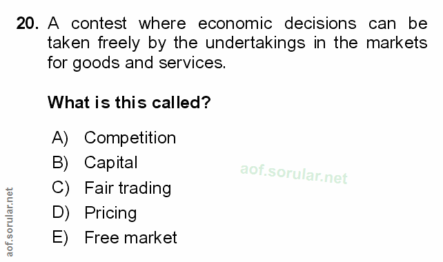 20. soru: A contest where economic decisions can be taken freely by the undertakings in the markets for goods and services. Wha…