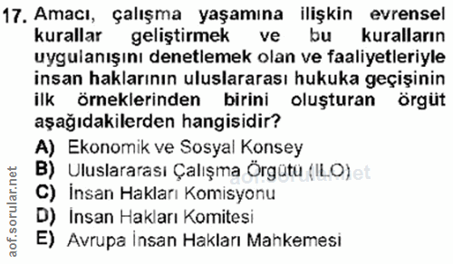 17. soru: Amacı, çalışma yaşamına ilişkin evrensel kurallar geliştirmek ve bu kuralların uygulanışını denetlemek olan ve faaliy…