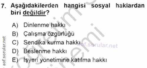 7. soru: Aşağıdakilerden hangisi sosyal hakiardan biri değildir? A) Dinlenme hakkı B) Çalışma özgürlüğü C) Sendika kurma hakkı…