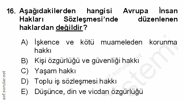 16. soru: Aşağıdakilerden hangisi Avrupa insan Hakları Sözleşmesi'nde düzenlenen haklardan değildir? A) Işkence ve kötü muamele…
