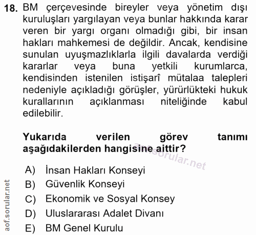 18. soru: BM çerçevesinde bireyler veya yönetim dışı kuruluşları yargılayan veya bunlar hakkında karar veren bir yargı organı o…