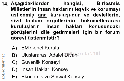 14. soru: Aşağıdakilerden hangisi, Birleşmiş Milletler'in insan haklarını teşvik ve korumayı üstlenmiş ana kuruluşudur ve devle…