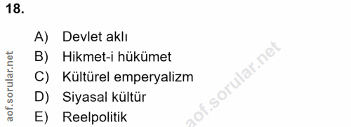 18. soru: A) Devlet aklı B) Hikmet-i hükümet C) Kültürel emperyalizm D) Siyasal kültür E) Reelpolitik