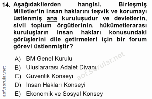 14. soru: Aşağıdakilerden hangisi, Birleşmiş Milletler'in insan haklarını teşvik ve korumayı üstlenmiş ana kuruluşudur ve devle…