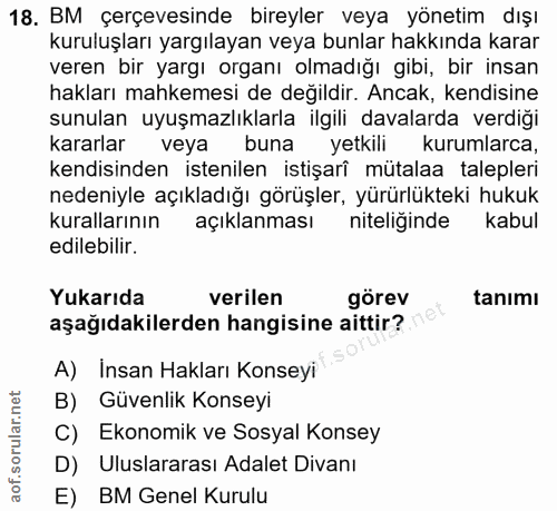 18. soru: BM çerçevesinde bireyler veya yönetim dışı kuruluşları yargılayan veya bunlar hakkında karar veren bir yargı organı o…