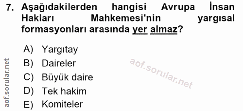 7. soru: Aşağıdakilerden hangisi Avrupa Insan Hakları Mahkemesi'nin yargısal formasyonları arasında yer almaz? A) Yargıtay B)…