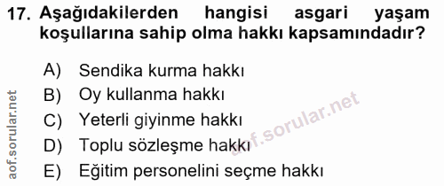 17. soru: Aşağıdakilerden hangisi asgari yaşam koşullarına sahip olma hakkı kapsamındadır? A) Sendika kurma hakkı B) Oy kullanm…