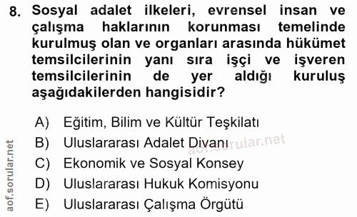 8. soru: Sosyal adalet ilkeleri, evrensel insan ve çalışma haklarının korunması temelinde kurulmuş olan ve organları arasında…