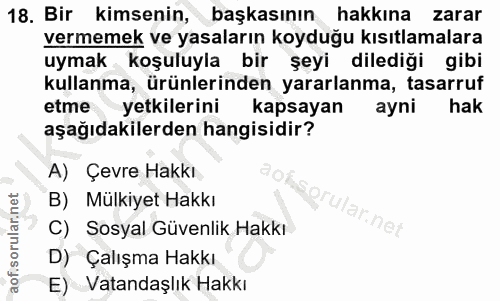 18. soru: Bir kimsenin, başkasının hakkına zarar vermemek ve yasaların koyduğu kısıtlamalara uymak koşuluyla bir şeyi dilediği…