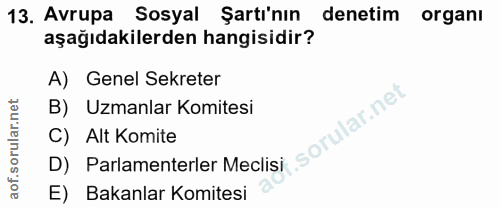 13. soru: Avrupa Sosyal Şartı'nın denetim organı aşağıdakilerden hangisidir? A) Genel Sekreter B) Uzmanlar Komitesi C) Alt Komi…