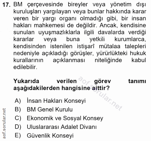 17. soru: BM çerçevesinde bireyler veya yönetim dışı kuruluşları yargılayan veya bunlar hakkında karar veren bir yargı organı o…