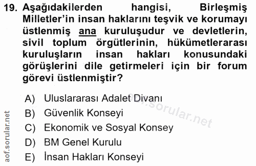 19. soru: Aşağıdakilerden hangisi, Birleşmiş Milletler'in insan haklarını teşvik ve korumayı üstlenmiş ana kuruluşudur ve devle…