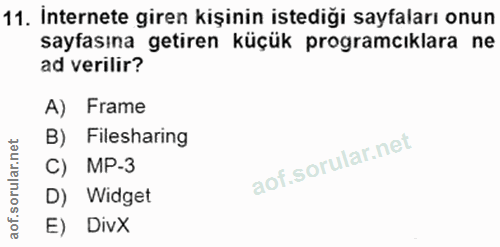 11. soru: İnternete giren kişinin istediği sayfaları onun sayfasına getiren küçük programcıklara ne ad verilir? A) Frame B) Fil…