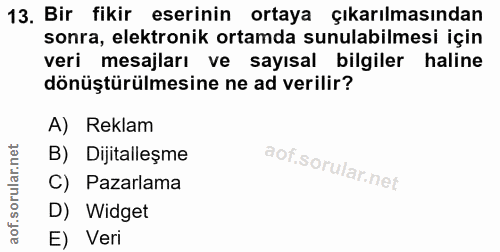 13. soru: Bir fikir eserinin ortaya çıkarılmasından sonra, elektronik ortamda sunulabilmesi için veri mesajları ve sayısal bilg…