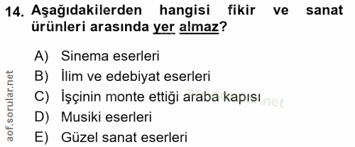 14. soru: Aşağıdakilerden hangisi fikir ve sanat ürünleri arasında yer almaz? A) Sinema eserleri B) Ilim ve edebiyat eserleri C…