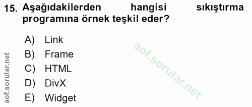 15. soru: Aşağıdakilerden hangisi sıkıştırma programına örnek teşkil eder? A) Link B) Frame C) HTML D) DivX E) Widget