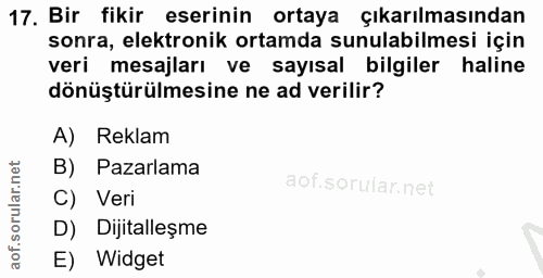 17. soru: Bir fikir eserinin ortaya çıkarılmasından sonra, elektronik ortamda sunulabilmesi için veri mesajları ve sayısal bilg…
