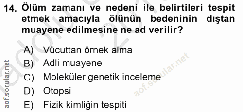 14. soru: Ölüm zamanı ve nedeni ile belirtileri tespit etmek amacıyla ölünün bedeninin dıştan muayene edilmesine ne ad verilir?…