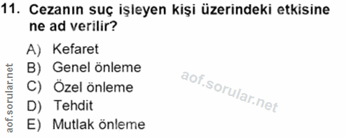 11. soru: Cezanın suç işleyen kişi üzerindeki etkisine ne ad verilir? A) Kefaret B) Genel önleme C) Özel önleme D) Tehdit E) Mu…