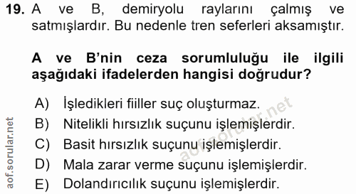 19. soru: A ve B, demiryolu raylarını çalmış ve satmışlardır. Bu nedenle tren seferleri aksamıştır. A ve B'nin ceza sorumluluğu…