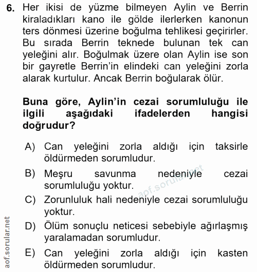 6. soru: Her ikisi de yüzme bilmeyen Aylin ve Berrin kiraladıkları kano ile gölde ilerlerken kanonun ters dönmesi üzerine boğu…