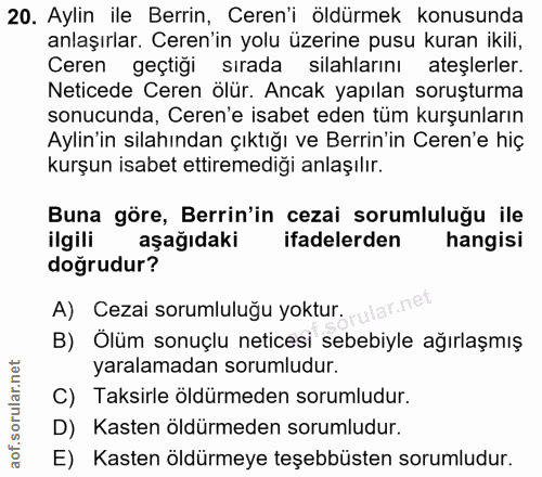 20. soru: Aylin ile Berrin, Ceren'i öldürmek konusunda anlaşırlar. Ceren'in yolu üzerine pusu kuran ikili, Ceren geçtigi sırada…