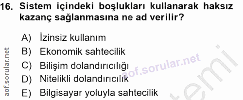 16. soru: Sistem içindeki boşlukları kullanarak haksız kazanç sağlanmasına ne ad verilir? A) İzinsiz kullanım B) Ekonomik sahte…