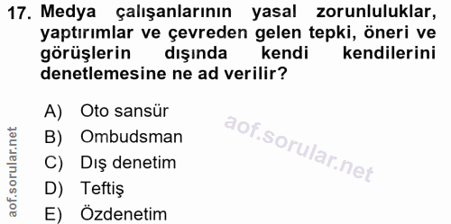 17. soru: Medya çalışanlarının yasal zorunluluklar, yaptırımlar ve çevreden gelen tepki, öneri ve görüşlerin dışında kendi kend…