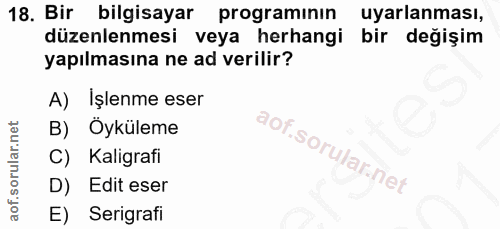 18. soru: Bir bilgisayar programının uyarlanması, düzenlenmesi veya herhangi bir değişim yapılmasına ne ad verilir? A) İşlenme…