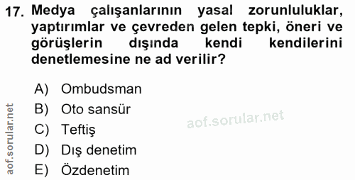 17. soru: Medya çalışanlarının yasal zorunluluklar, yaptırımlar ve çevreden gelen tepki, öneri ve görüşlerin dışında kendi kend…