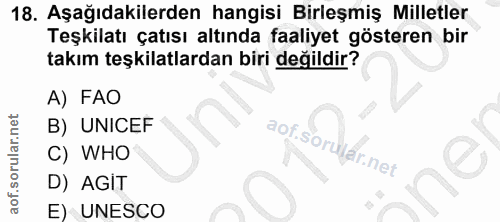 18. soru: Aşağıdakilerden hangisi Birleşmiş Milletler Teşkilatı çatısı altında faaliyet gösteren bir takım teşkilatlardan biri…