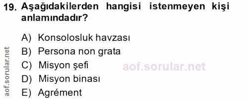 19. soru: Aşağıdakilerden hangisi istenmeyen kişi anlamındadır? A) Konsolosluk havzası B) Persona non grata C) Misyon șefi D) M…