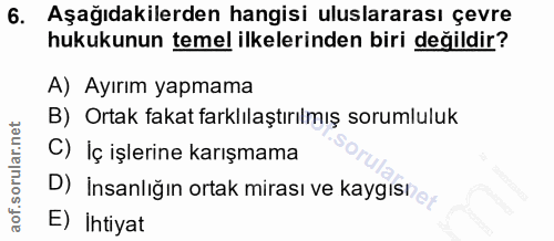 6. soru: Aşağıdakilerden hangisi uluslararası çevre hukukunun temel ilkelerinden biri değildir? A) Ayırım yapmama B) Ortak fak…