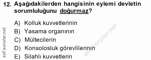 12. soru: Aşağıdakilerden hangisinin eylemi devletin sorumluluğunu doğurmaz? A) Kolluk kuvvetlerinin B) Yasama organının ular.n…
