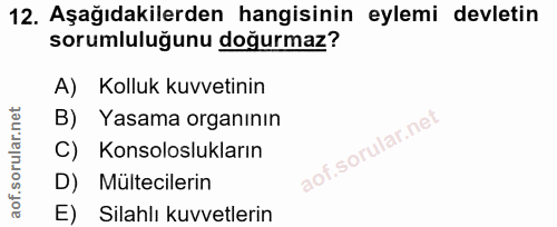12. soru: Aşağıdakilerden hangisinin eylemi devletin sorumluluğunu doğurmaz? A) Kolluk kuvvetinin B) / Yasama organının C) Kons…