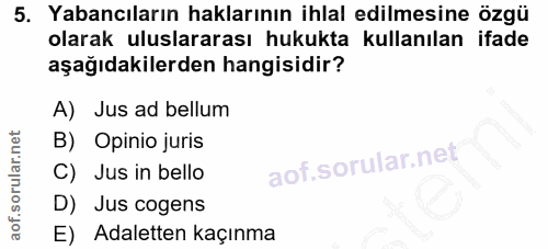 5. soru: Yabancıların haklarının ihlal edilmesine özgü olarak uluslararası hukukta kullanılan ifade aşağıdakilerden hangisidir…