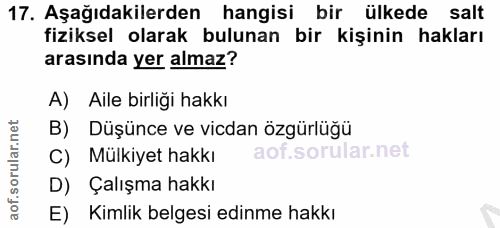 17. soru: Aşağıdakilerden hangisi bir ülkede salt fiziksel olarak bulunan bir kişinin hakları arasında yer almaz? A) Aile birli…
